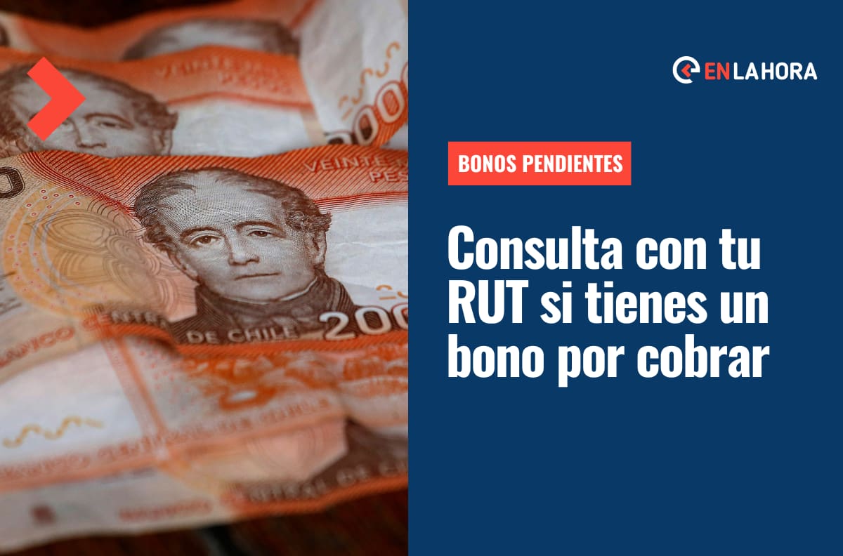 Bonos Pendientes: Revisa con tu RUT si tienes algún beneficio por cobrar y cómo hacerlo