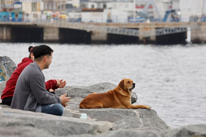 Descubre qué hacer en la región costera esta Semana Santa.
