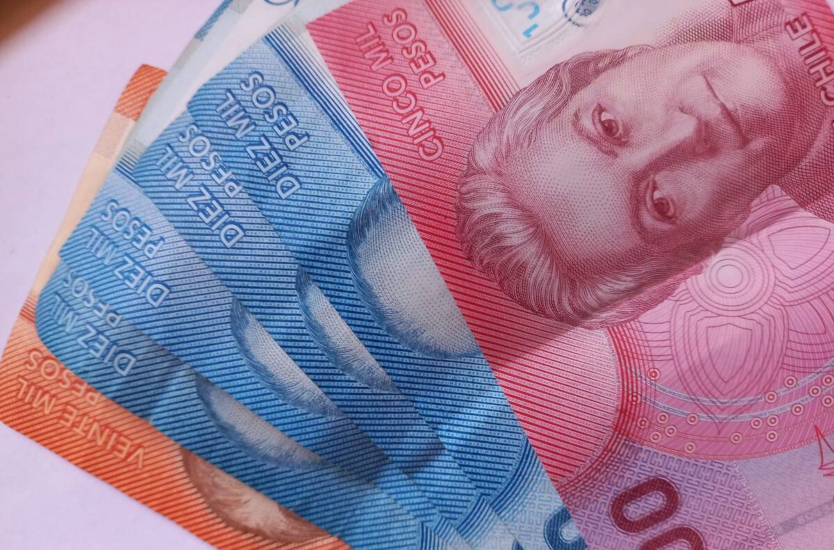 Autopréstamo: ¿Cuánto dinero podrías retirar una vez que se apruebe la Reforma Previsional?