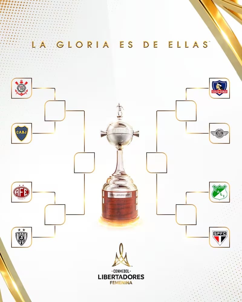 Si Colo Colo gana la Copa Libertadores, disputará una copa entre los campeoines de cada continente. Foto: Copa Libertadores.