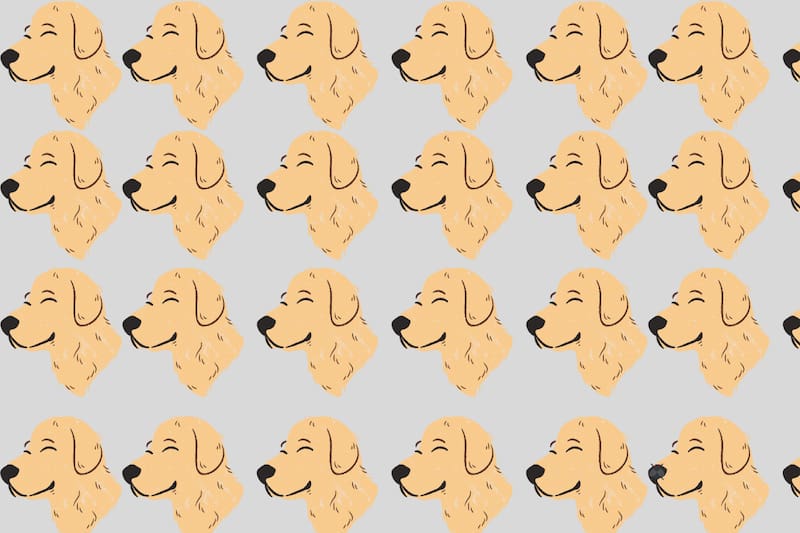 ¿Podrás encontrar la mosca oculta?