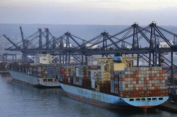 "Temor del baño" sería mundial: Se vendría desabastecimiento de papel higiénico