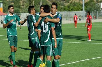La puja de algunos hinchas por revivir a Deportes Ovalle