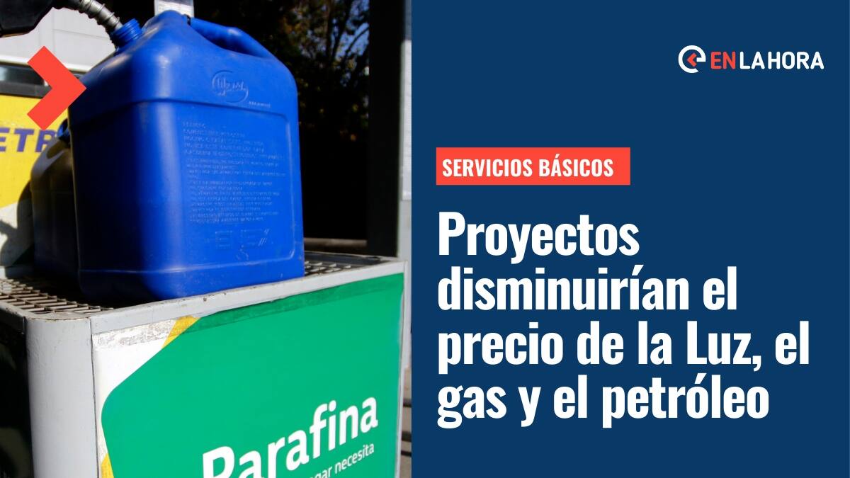 Servicios básicos: ¿En qué consisten los proyectos enviados por el gobierno en luz, gas y petróleo?