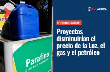 Servicios básicos: ¿En qué consisten los proyectos enviados por el gobierno en luz, gas y petróleo?