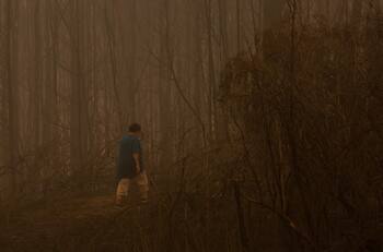 Incendios forestales: Revisa cómo se encuentra la calidad del aire en tu sector