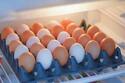 ¿Cuánto tiempo duran los huevos almacenados en el refrigerador?