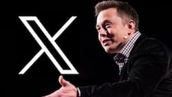 Así es XChat, la plataforma de mensajería de Elon Musk que quiere competir con WhatsApp