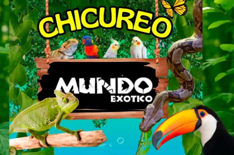 Este panorama es perfecto para niños, pero también para madres y padres. Foto: EntreKids.