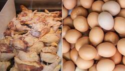Gripe aviar en Chile: ¿Se puede comer huevos, pollo o pavo sin riesgo de contagio?