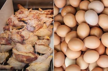 Gripe aviar en Chile: ¿Se puede comer huevos, pollo o pavo sin riesgo de contagio?