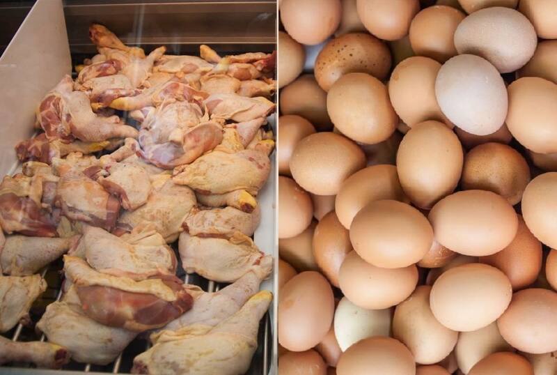 Conoce las recomendaciones de las autoridades tras la detección del primer caso en Chile. Créditos: ATON.