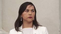 Izkia Siches renunció a la presidencia del Colmed para apoyar la candidatura de Gabriel Boric