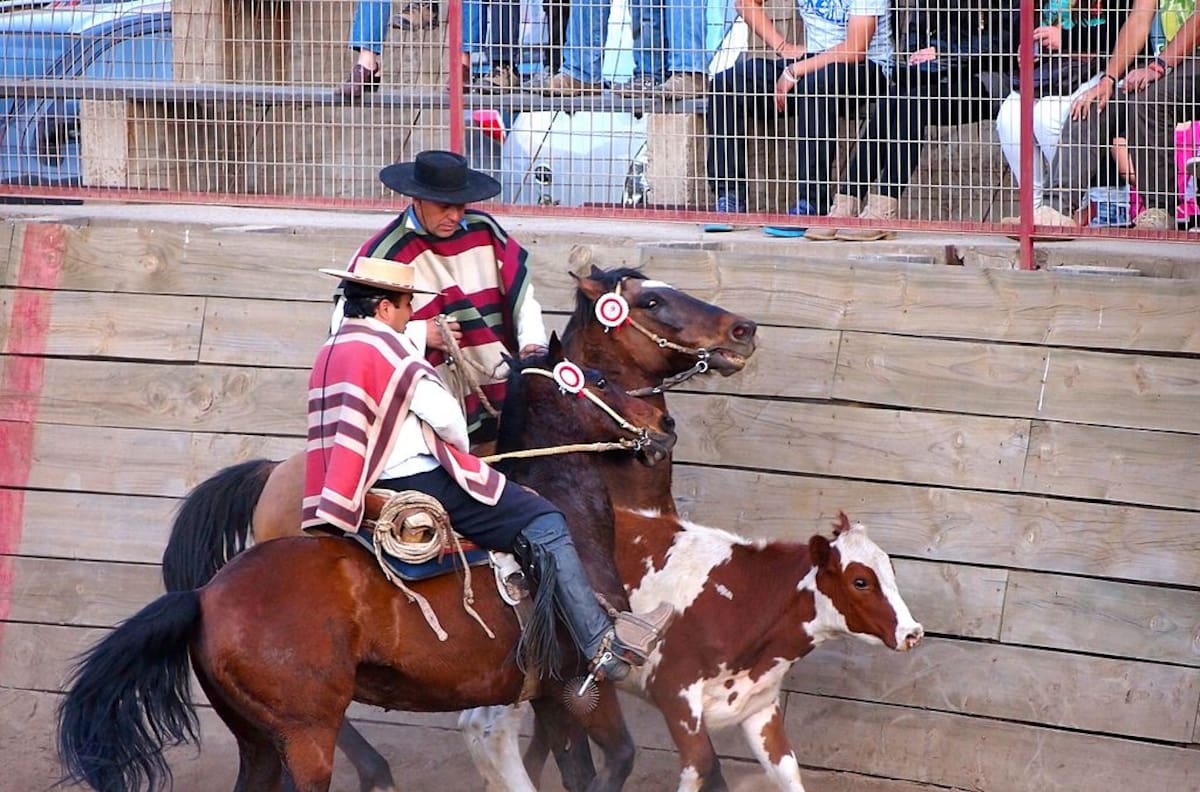 La defensa del Ministro de Agricultura al rodeo: "No lo comparen con el salvajismo de otros deportes"