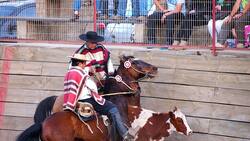 La defensa del Ministro de Agricultura al rodeo: "No lo comparen con el salvajismo de otros deportes"