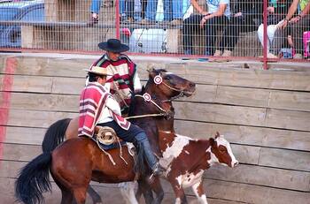 La defensa del Ministro de Agricultura al rodeo: "No lo comparen con el salvajismo de otros deportes"