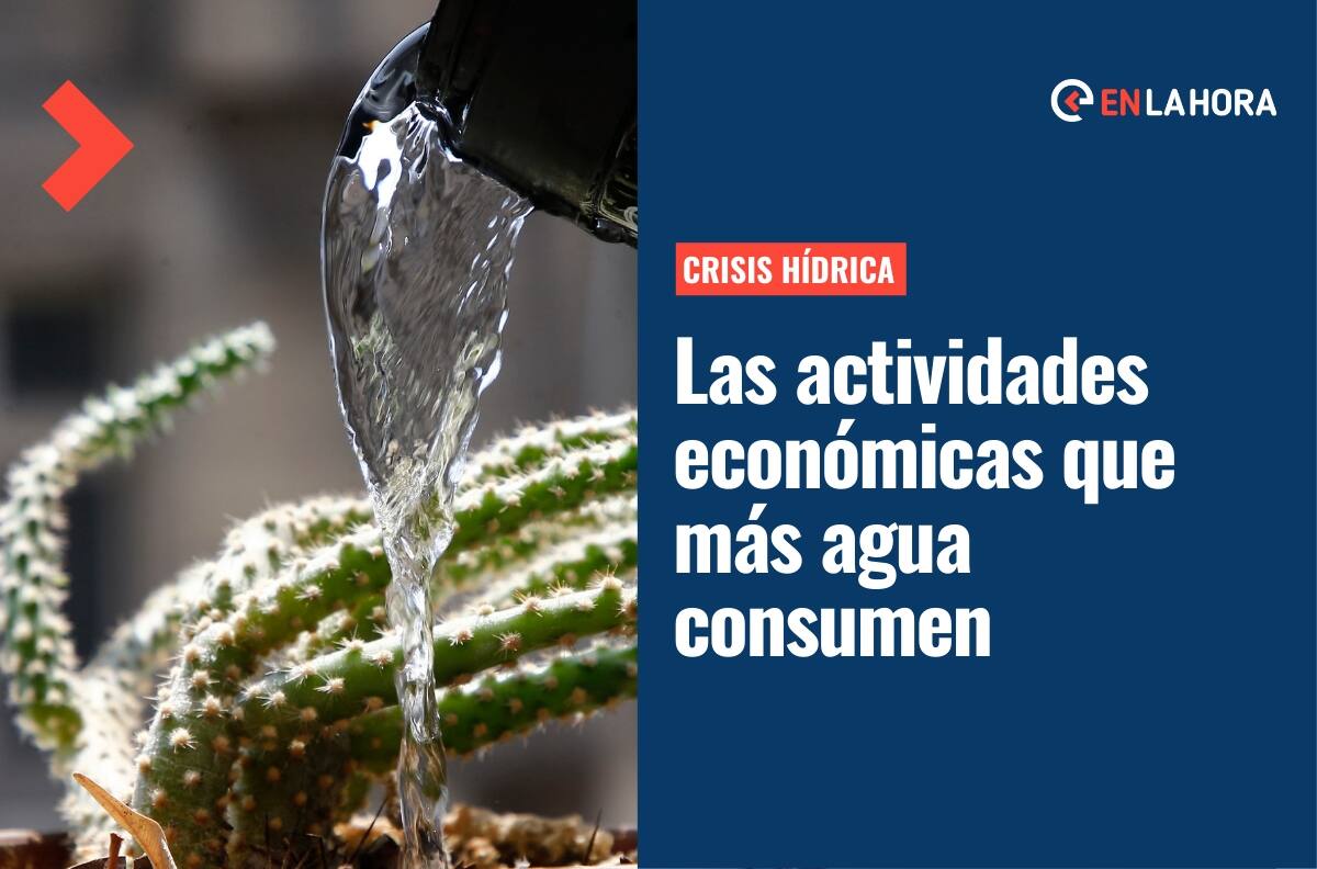 Crisis hídrica: ¿Cuáles son las actividades económicas que más agua consumen?