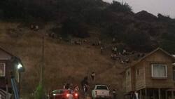 Errónea alerta de la Onemi: Los registros en redes sociales de las evacuaciones en zonas costeras