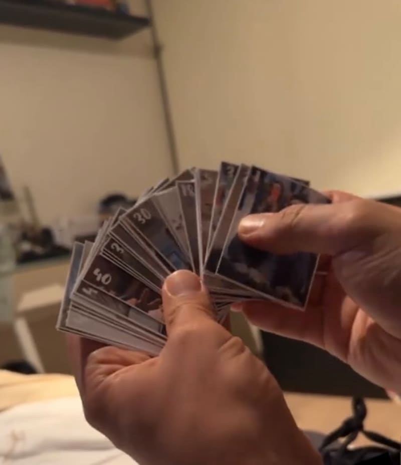 Las láminas del álbum / Instagram