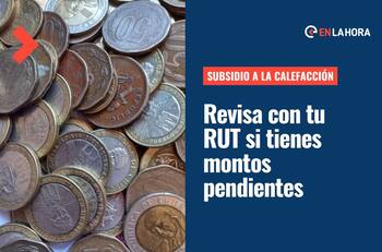 Subsidio a la Calefacción: Revisa con tu RUT si tienes pendiente los $100 mil de este aporte
