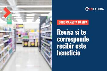 Bono Canasta Básica: ¿Cómo saber con mi RUT cuándo es el pago de diciembre y cuánto es el aporte?