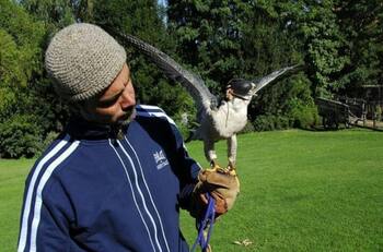 A casi 10 años de su muerte: Hermana de Felipe Camiroaga comparte emotiva carta que escribió la familia del animador