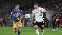 “Llega a préstamo desde Colo Colo”: Everton aprovecha las últimas horas del mercado y se refuerza