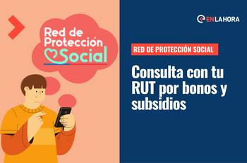 Red de protección Social: Solo con tu RUT o Clave Única puede revisar qué bonos te corresponden