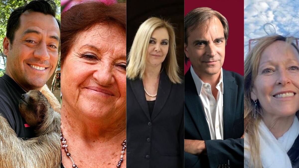 De Hotuiti Teao hasta la Doctora Cordero: Los famosos que asumieron como diputados y senadores este 11 de marzo
