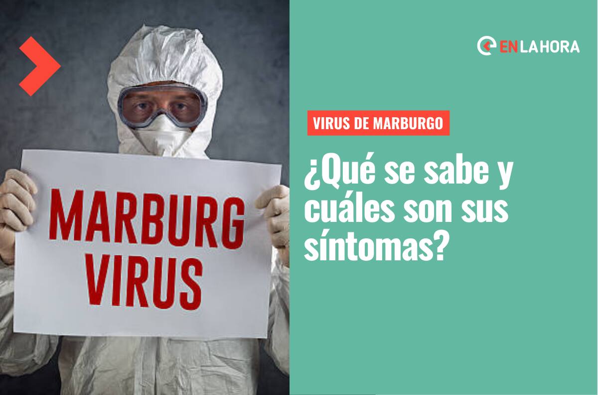 Virus de Marburgo: ¿Qué se sabe de este virus, cuáles son sus síntomas y por qué preocupa a la OMS?