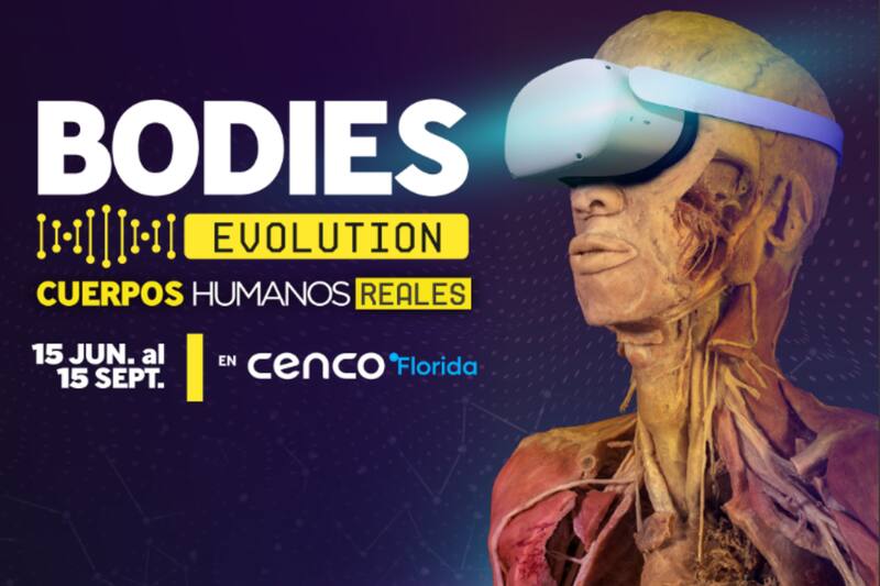 La muestra ofrece un acercamiento único e inmersivo al cuerpo humano.