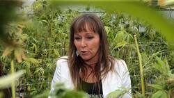 ¿Qué es la Fundación Daya y de qué se le acusa? Te contamos el rol de la organización que está en boca de todos