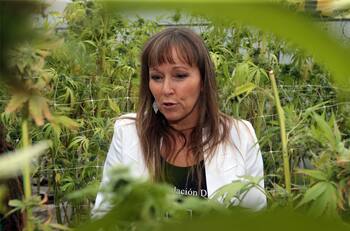 ¿Qué es la Fundación Daya y de qué se le acusa? Te contamos el rol de la organización que está en boca de todos