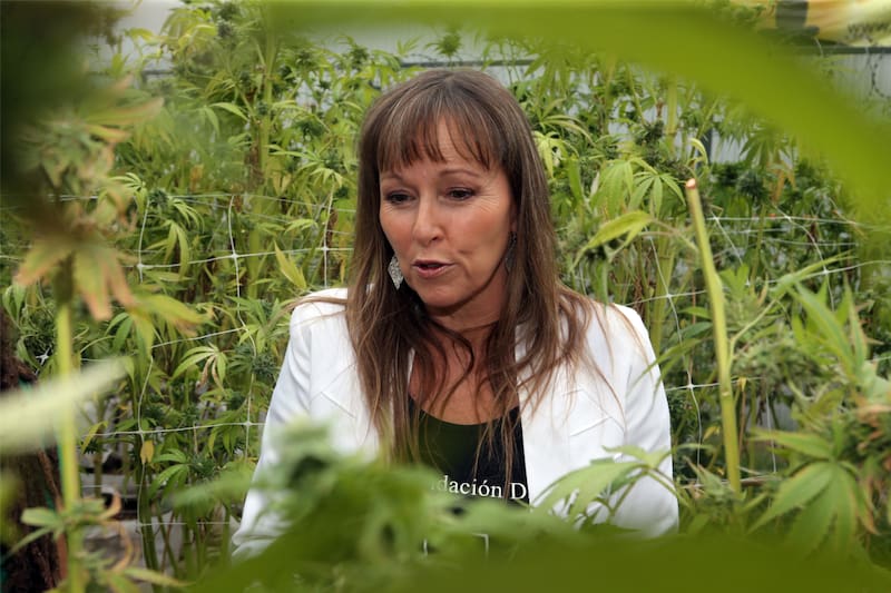 Su fundación se encuentra bajo la lupa de sectores políticos de oposición.