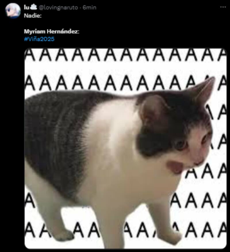 Los memes que dejó la presentación de Myriam Hernández.