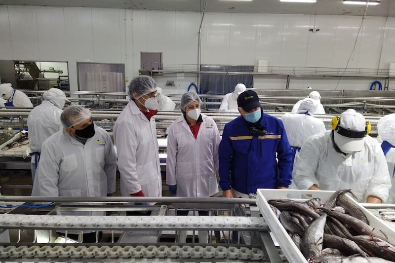 La compañía cesará sus operaciones a contar de enero del 2026.