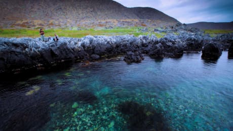Humedal Desembocadura del Río Limarí: Un entorno turístico cerca de Coquimbo que no te puedes perder