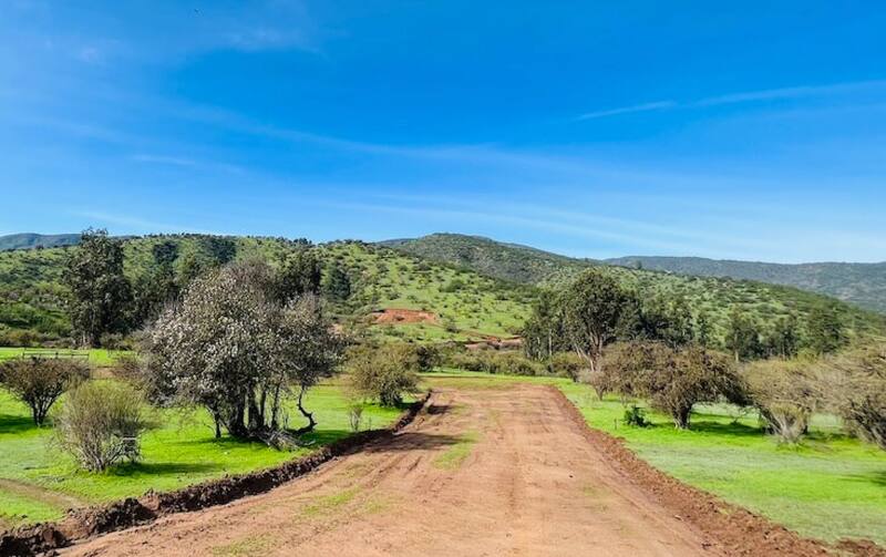 Inmobiliaria Chicureo señala que la resolución que le ha impedido ejecutar un exclusivo proyecto ha complicado su situación económica.