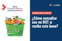 Subsidio Canasta Familiar: Revisa con tu RUT si recibes este aporte de $9.924 por carga familiar
