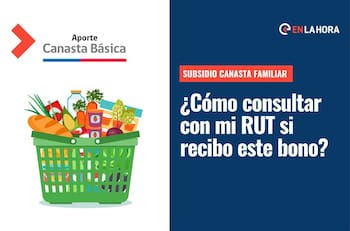 Subsidio Canasta Familiar: Revisa con tu RUT si recibes este aporte de $9.924 por carga familiar