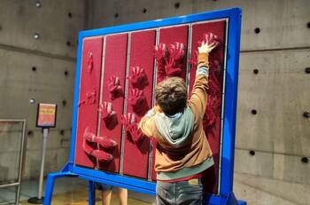 MIM ofrece entretenidas actividades para aprender y disfrutar en estas vacaciones de invierno