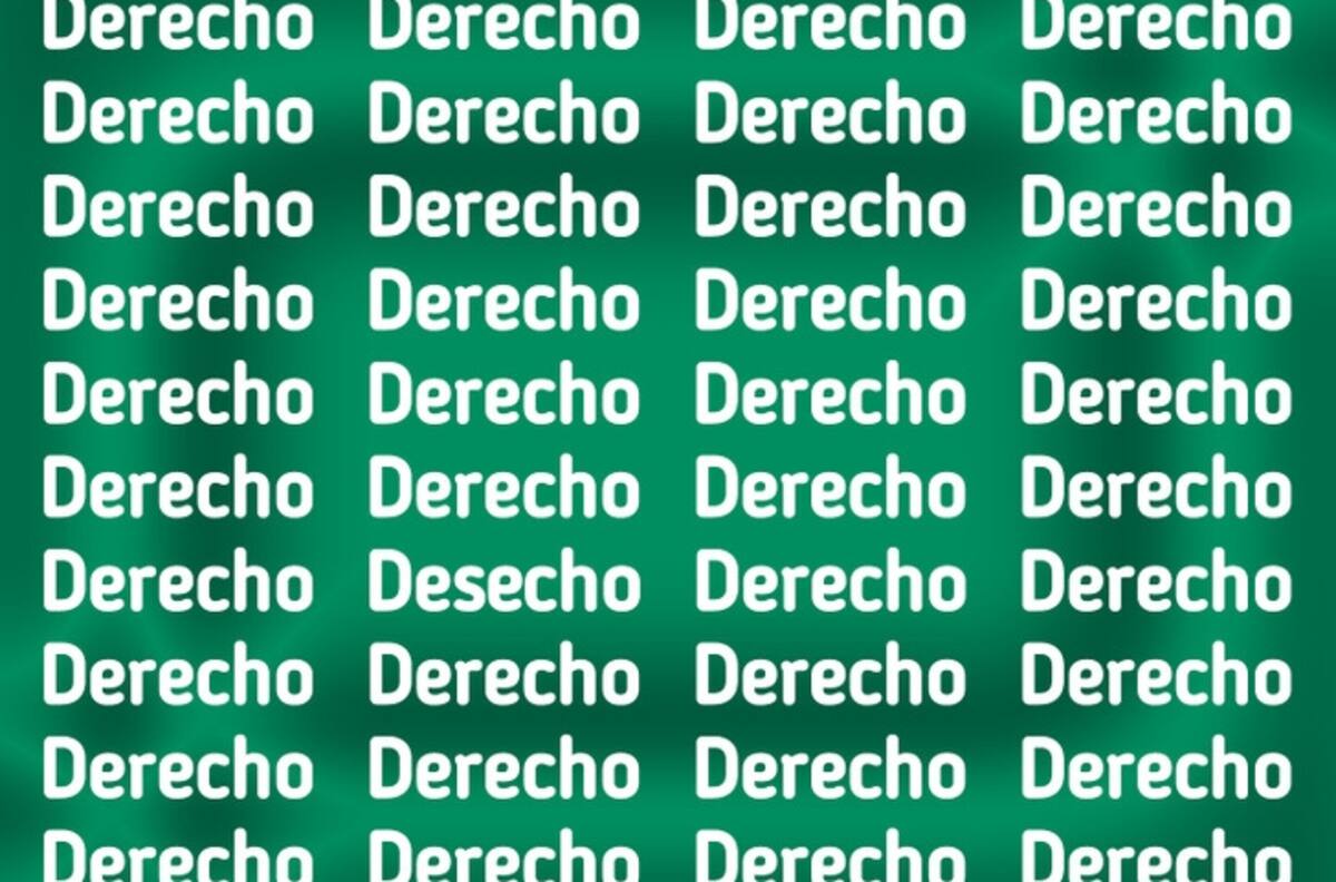 Test Visual: ¿Puedes encontrar la palabra "DESECHO" escondida en la imagen en tan solo 10 segundos?