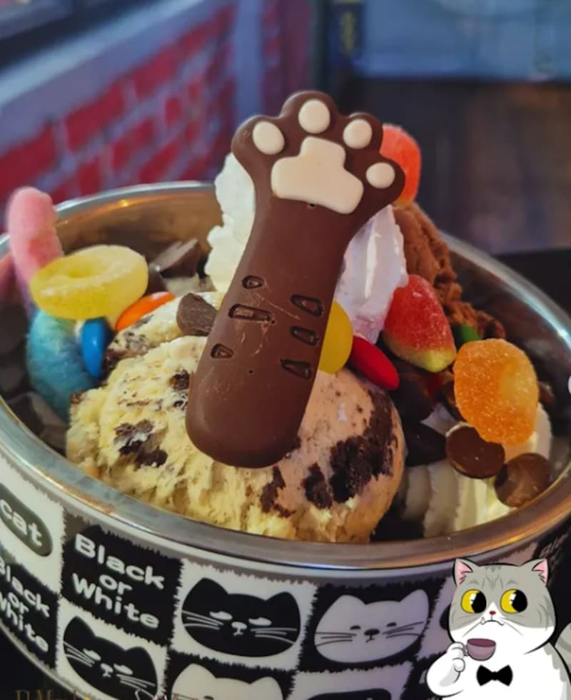 "Moi Moi Goloso" es uno de los preferidos a la hora de entrar a este catcafé. Foto: El Mundo de Dalí vía Instagram.