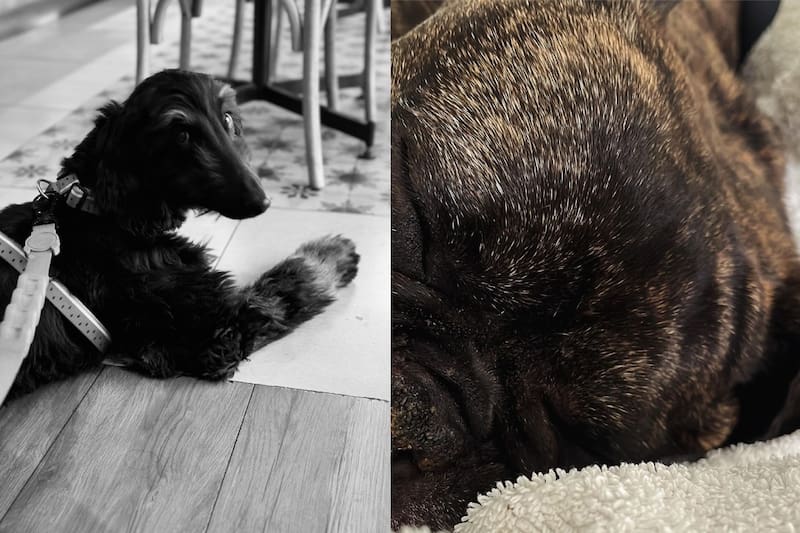 Las fotos que subió José Antonio Neme en su Instagram