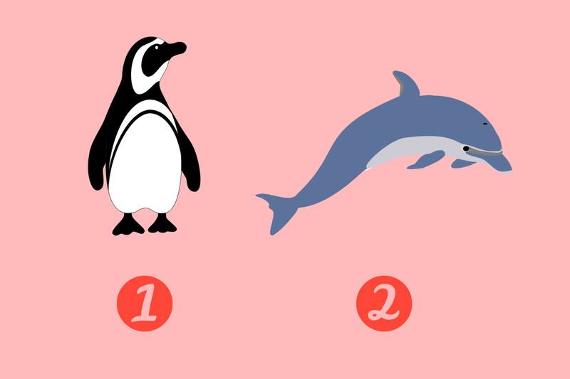 Conoce qué tan fiel eres en tus relaciones amorosas.