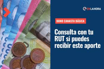 Bono Canasta Básica 2022: Consulta con tu RUT si puedes recibir los pagos de este beneficio del Estado