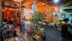 Con sabor a ronroneos: el novedoso café de Santiago donde puedes comer rodeado de decenas de gatos