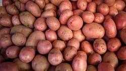 ¡No las metas al refrigerador! Así debes guardar tus papas para que duren más tiempo