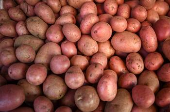 ¡No las metas al refrigerador! Así debes guardar tus papas para que duren más tiempo