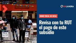 Bono Vocal de Mesa: Revisa con tu RUT los pagos de este subsidio y cuál es el valor que entrega